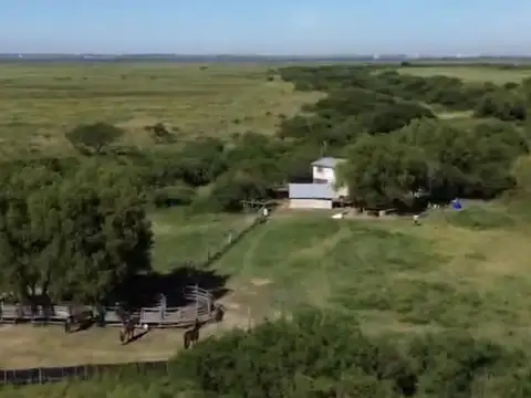 Isla ganadera frente a la ciudad de san lorenzo