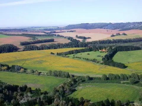 VENTA|5 HECTAREAS|RUTA 88 KM 8