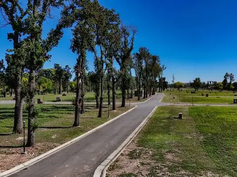 BARRIO LA ESTELA PILAR