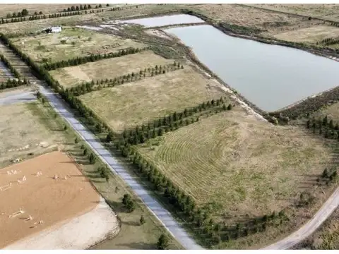 Terreno en Venta de 10000,0 m2