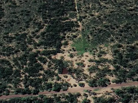 Campo de 525 hectáreas sobre Ruta Nacional 9 – Ambargasta, Santiago del Estero