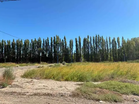 TERRENO EN VENTA EN LOTEO LAS FLORES GENERAL ROCA