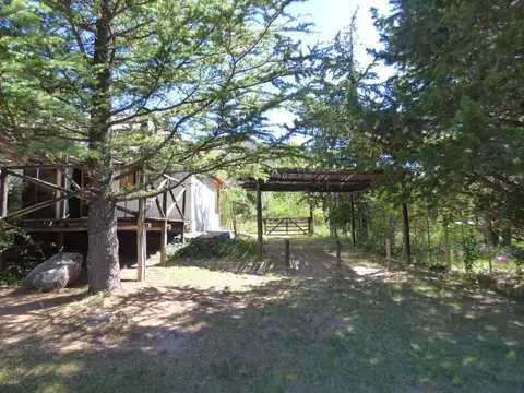 Francisco Mazzoni 100