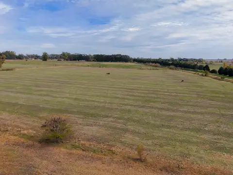 Fracción de campo 100 % agrícola en San Andrés de Giles.