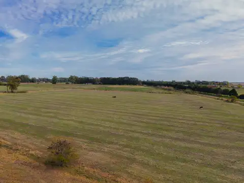 Fracción de campo 100 % agrícola en San Andrés de Giles.