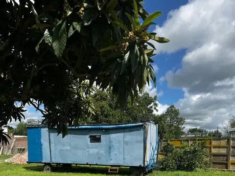 GENERAL MOSCONI 2100