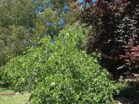 Terreno en Venta en Aguas Verdes, USD 20.000