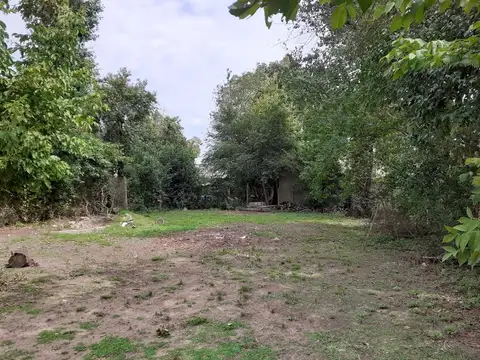 AV. CONSTITUCION 100