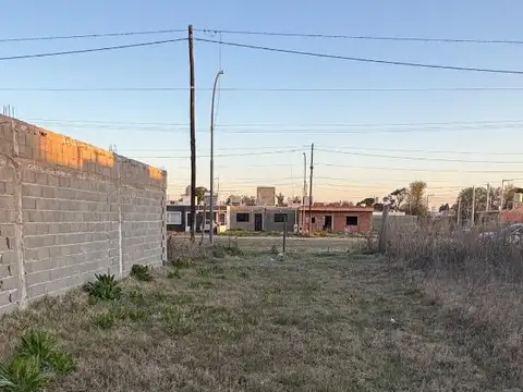 Bv De Los Ingleses 6900