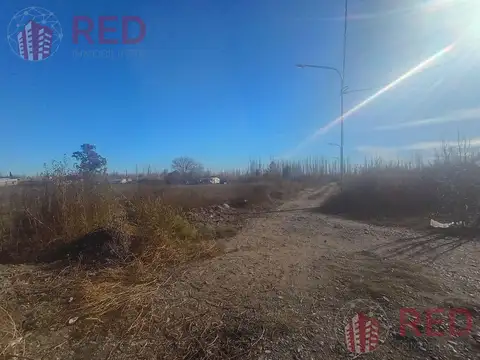 Terreno en Venta en Cinco Saltos, USD 10.000