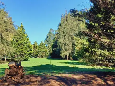 Terreno en Venta en Pueblo Esther, USD 50.000