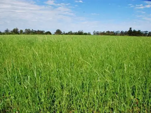 Camino Benito Nardone