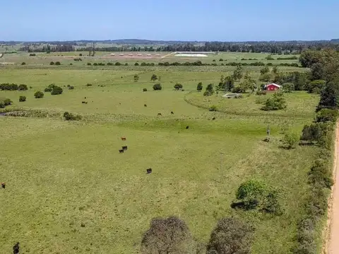 Camino Benito Nardone