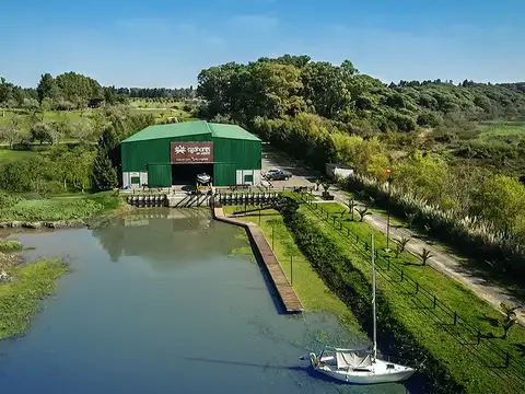 Azahares del Parana raices 100