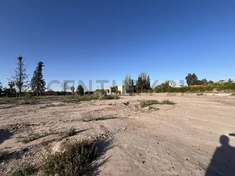 Terreno en Venta 12  mts Frente