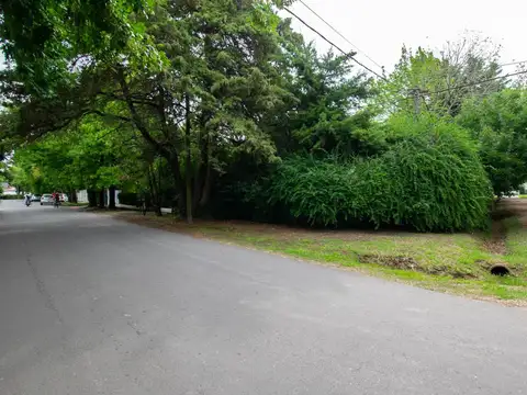 23 e/ 471 y 472 2827 (B1902), La Plata, Buenos Aires, Argentina