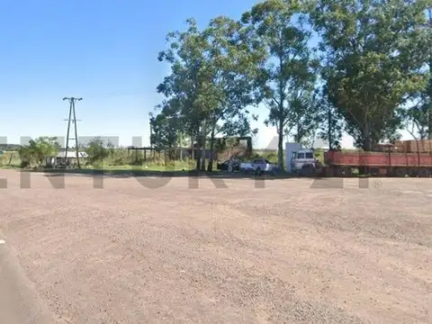 RUTA 27 100