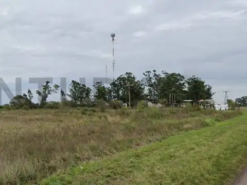 Campo en venta, sobre ruta 27, Desmanchado, Bella Vista.