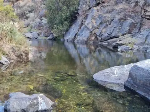 Campo en Venta de 433  ha