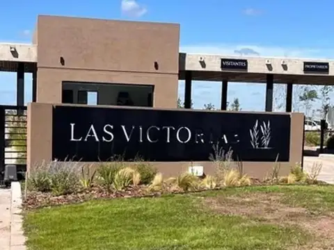 Mariano Castex 10000