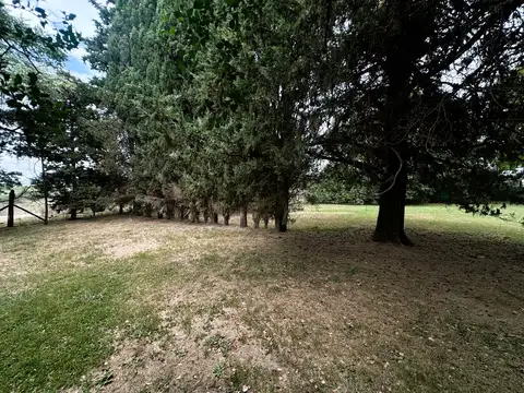 VENTA | Chacra con Casa de Campo sobre Ruta 31