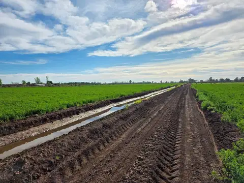 De Los Correa, Lavalle, Mendoza