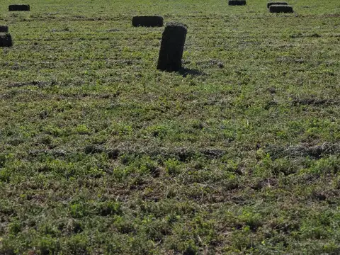 Campo en Venta - 20 hectáreas - Mendoza