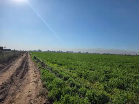 De Los Correa, Lavalle, Mendoza