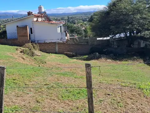 Las Violetas