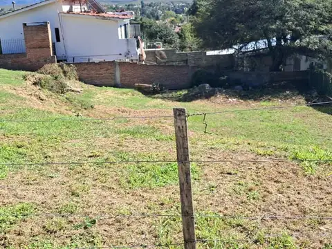 Las Violetas
