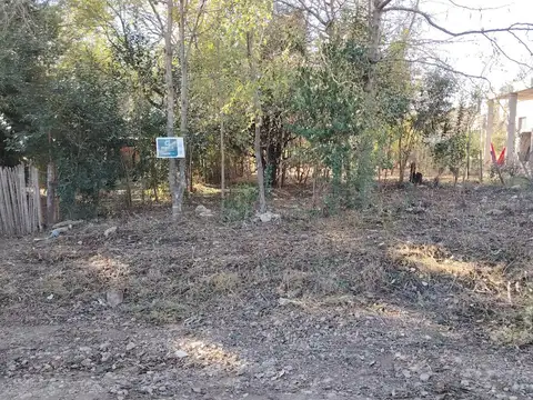 Terreno en venta Los Reartes