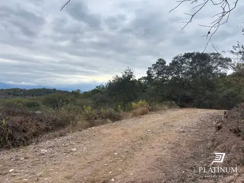 Terreno / Lote en venta de 5000m2 ubicado en Coronel Moldes, Salta