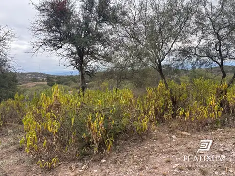 Terreno en Venta de 5000,0 m2