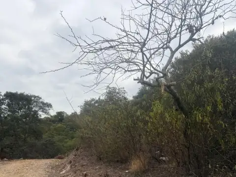 Terreno en Venta en Coronel Moldes, USD 28.000