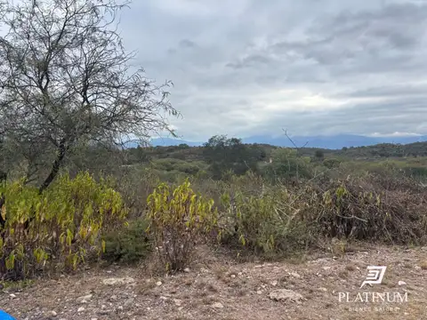 Terreno en Venta en Coronel Moldes, USD 28.000