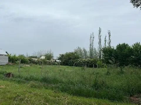 PACTO FEDERAL al 8900