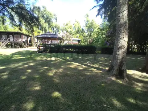 arias 800