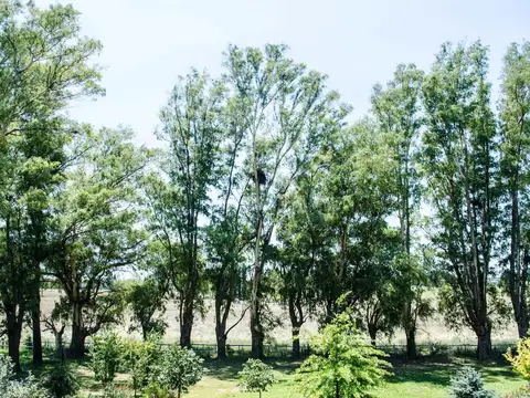 Campo con casas, pileta, cancha de tenis y boxes en Open Door