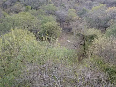 Terreno en Venta de 3679,0 m2