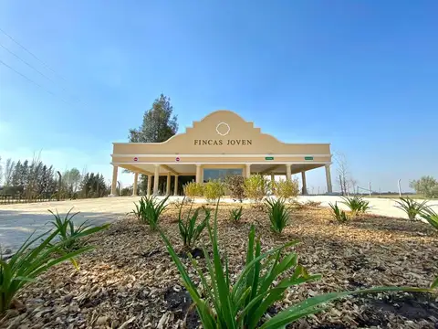 VENTA TERRENO 618 m2 EN FINCAS JOVEN SAN VICENTE