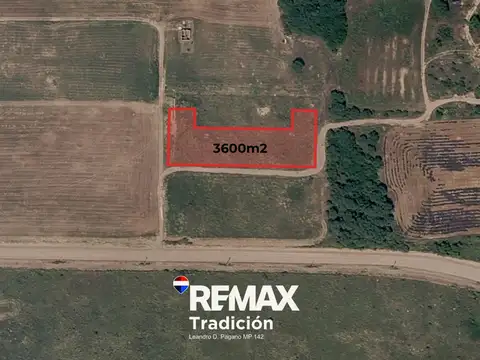 VENTA DE TERRENO CHARATA CHACO