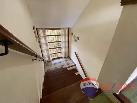 Colibri entre Sauce y Quebracho 100