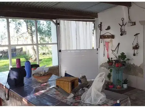 ruta 3 km 117  8 hectareas