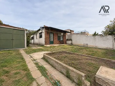 campichuelo 81