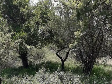 Terreno en Venta de 840,0 m2