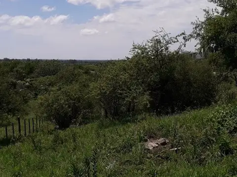 Los Chañares 200