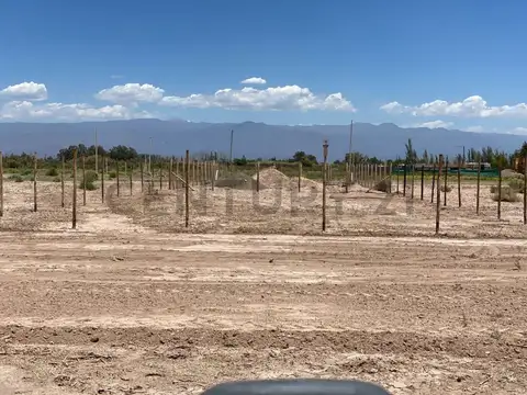 Terreno en Venta en Los Corralitos, USD 3.000