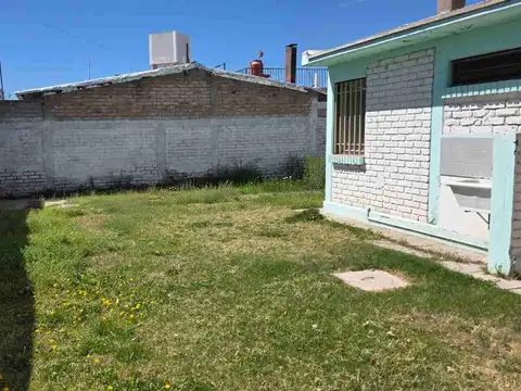 Los tilos y los Maitenes 100