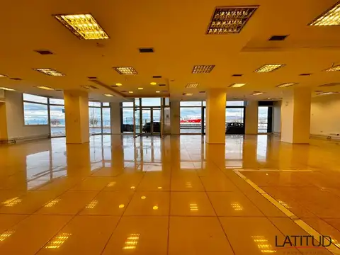 Maipu 215 100