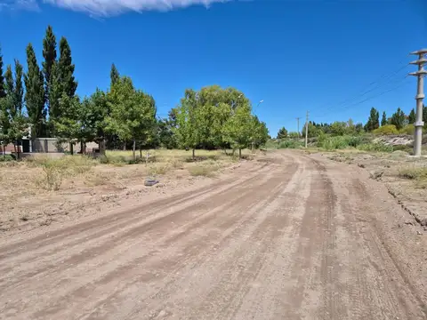 Terreno en Venta de 250,0 m2